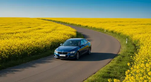 What Is a Pollen Filter In a Car and How Often Should You Change It?